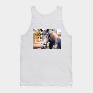 Equine Greeting Tank Top